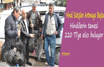 Hindinin tanesi 220 liradan alıcı buluyor