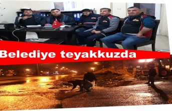 Belediye Teyakkuzda