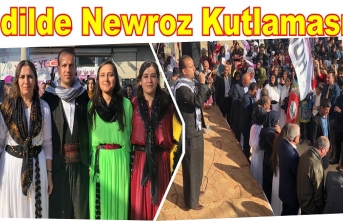 İdil'de Newroz Kutlaması