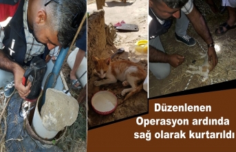 Gırbarazda Operasyon İdil İtfaiyesi kurtardı