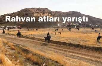 Rahvan atları yarıştı