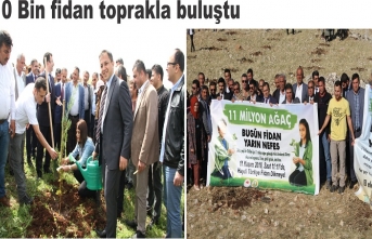 10 Bin fidan toprakla buluştu