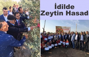 Kaymakam Zeytin Hasadı Şenliğine Katıldı.