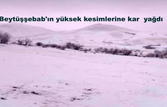 Beytüşşebab'ın yüksek kesimlerine kar  yağdı