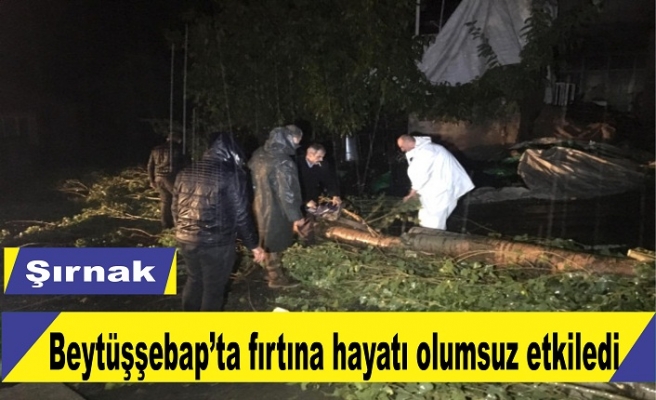 Fırtına Beytüşşebap'ta hayatı olumsuz etkiledi