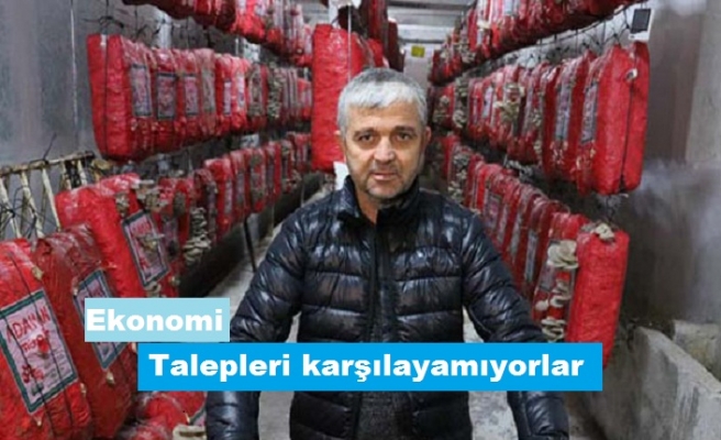 Taleplere yetişemiyor