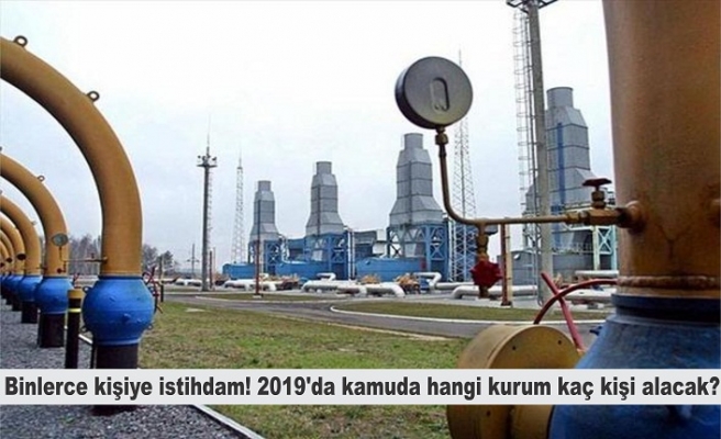 Binlerce kişiye istihdam! 2019'da kamuda hangi kurum kaç kişi alacak?