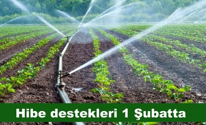 Hibe desteklerine başvurular 1 Şubat’ta​