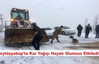 Kar Beytüşebap'ta hayatı olumsuz etkiledi