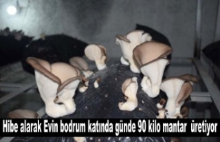 Evin bodrum katında kurduğu tesiste günde 90 kilo...