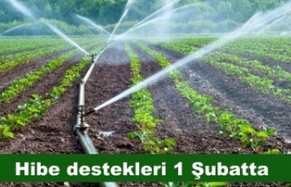 Hibe desteklerine başvurular 1 Şubat’ta​