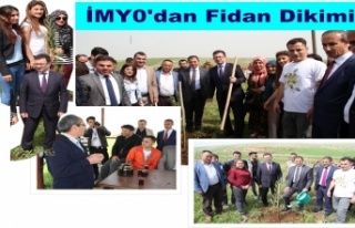 İMYO fidan dikimi