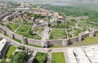 Diyarbakır'a özel üniversite kuruluyor