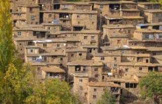 Hizan'da bulunan 300 yılık evler korunmaya...