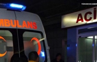 Otostop çekerek bindiği araçta hayatını kaybetti