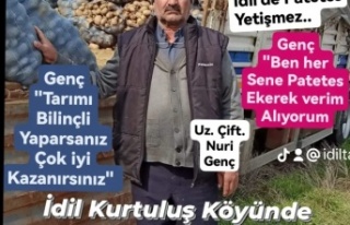 İdil'de Patetes ekimine başlandı