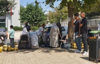 Hedil Kavununa yoğun ilgi