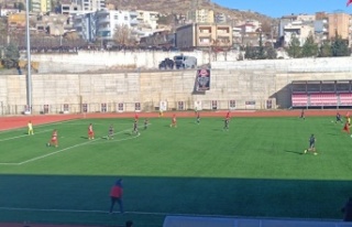 Şırnak Petrolspor rakibini yendi