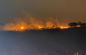 Çınar ilçesinde başlayan yangında 4 kişi hayatını kaybetti